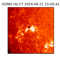gong - 2024-08-21T15:00:42