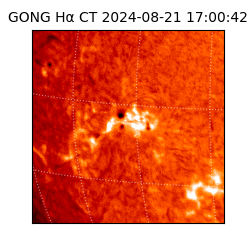gong - 2024-08-21T17:00:42