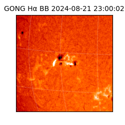 gong - 2024-08-21T23:00:02