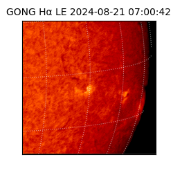 gong - 2024-08-21T07:00:42