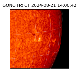 gong - 2024-08-21T14:00:42