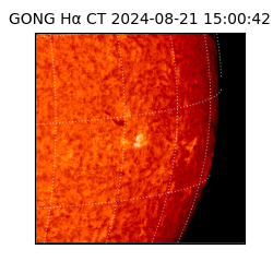 gong - 2024-08-21T15:00:42