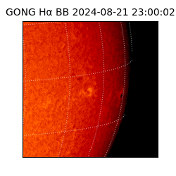 gong - 2024-08-21T23:00:02