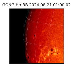 gong - 2024-08-21T01:00:02