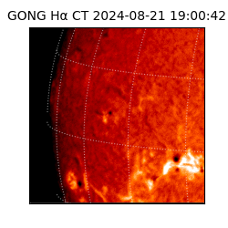 gong - 2024-08-21T19:00:42