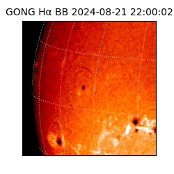 gong - 2024-08-21T22:00:02