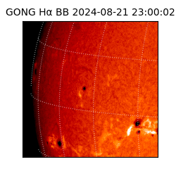 gong - 2024-08-21T23:00:02