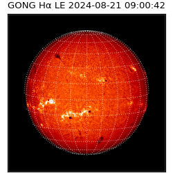 gong - 2024-08-21T09:00:42