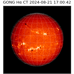 gong - 2024-08-21T17:00:42