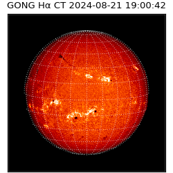 gong - 2024-08-21T19:00:42