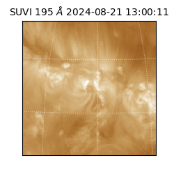 suvi - 2024-08-21T13:00:11.118000