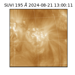 suvi - 2024-08-21T13:00:11.118000