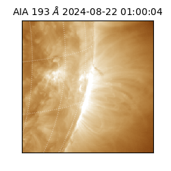 saia - 2024-08-22T01:00:04.843000