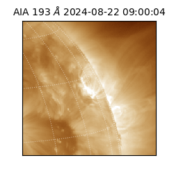 saia - 2024-08-22T09:00:04.843000