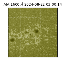 saia - 2024-08-22T03:00:14.125000