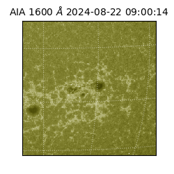 saia - 2024-08-22T09:00:14.126000