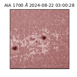 saia - 2024-08-22T03:00:28.717000