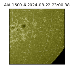 saia - 2024-08-22T23:00:38.126000