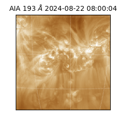 saia - 2024-08-22T08:00:04.835000