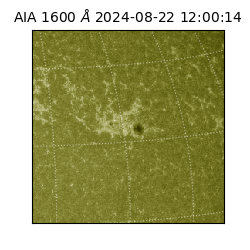 saia - 2024-08-22T12:00:14.126000
