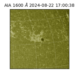 saia - 2024-08-22T17:00:38.126000