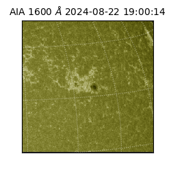 saia - 2024-08-22T19:00:14.126000
