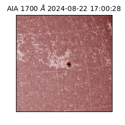 saia - 2024-08-22T17:00:28.717000