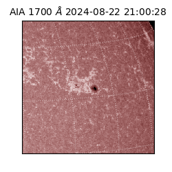 saia - 2024-08-22T21:00:28.717000