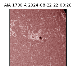 saia - 2024-08-22T22:00:28.717000
