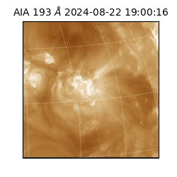 saia - 2024-08-22T19:00:16.843000