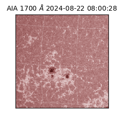 saia - 2024-08-22T08:00:28.741000