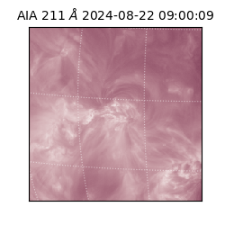 saia - 2024-08-22T09:00:09.640000