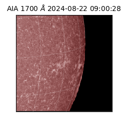 saia - 2024-08-22T09:00:28.717000