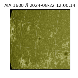 saia - 2024-08-22T12:00:14.126000