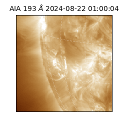 saia - 2024-08-22T01:00:04.843000