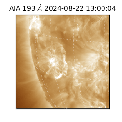 saia - 2024-08-22T13:00:04.843000