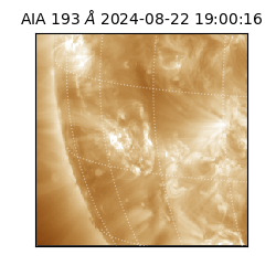 saia - 2024-08-22T19:00:16.843000