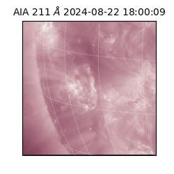 saia - 2024-08-22T18:00:09.626000