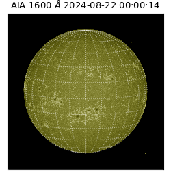 saia - 2024-08-22T00:00:14.129000