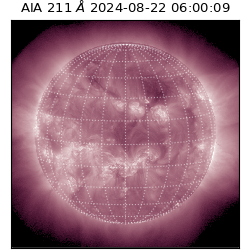 saia - 2024-08-22T06:00:09.626000