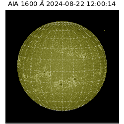 saia - 2024-08-22T12:00:14.126000