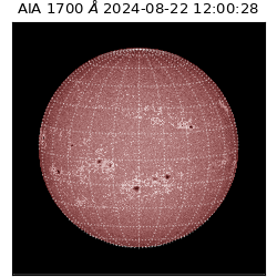 saia - 2024-08-22T12:00:28.717000