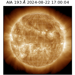 saia - 2024-08-22T17:00:04.843000