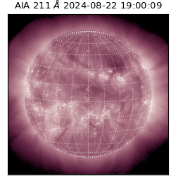 saia - 2024-08-22T19:00:09.626000