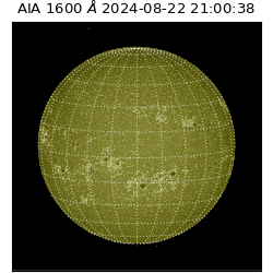 saia - 2024-08-22T21:00:38.126000