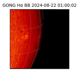 gong - 2024-08-22T01:00:02