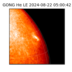 gong - 2024-08-22T05:00:42
