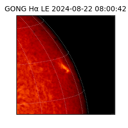 gong - 2024-08-22T08:00:42