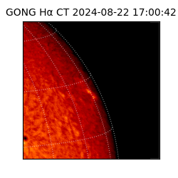 gong - 2024-08-22T17:00:42