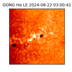 gong - 2024-08-22T03:00:42